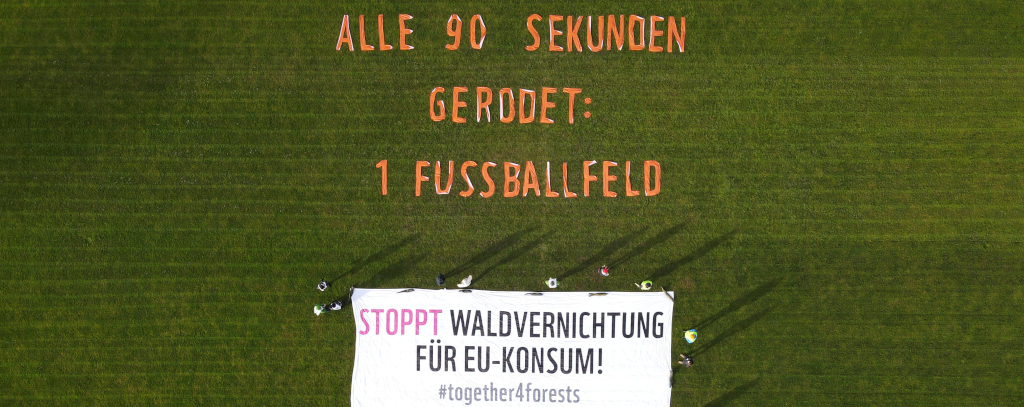 Foto: Nina Neuscheler/ROBIN WOOD