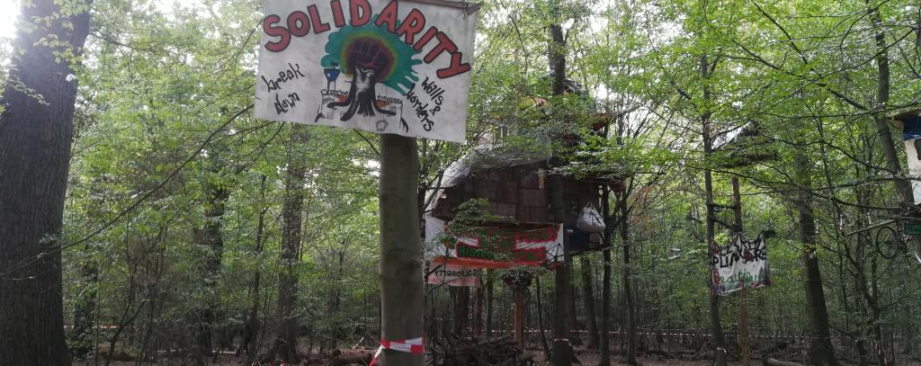Hambacher Forst im September 2018