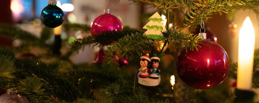 Öko-Weihnachtsbäume sind ohne den Einsatz von Pestiziden und Mineraldünger herangewachsen (Foto: ROBIN WOOD/Moritz Heck) geschmückter Weihnachtsbaum