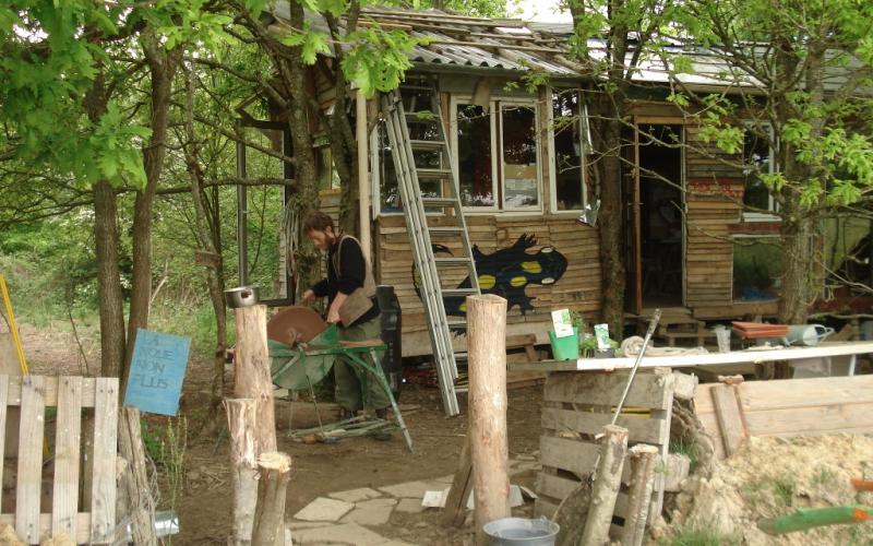 Bild